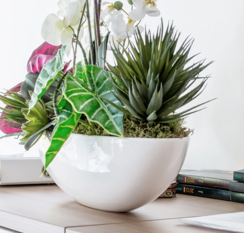 Die Stiftungsagentur in Neuss